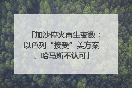 加沙停火再生变数：以色列“接受”美方案、哈马斯不认可
