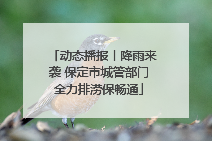 动态播报丨降雨来袭 保定市城管部门全力排涝保畅通