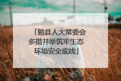 勉县人大常委会多措并举筑牢生态环境安全底线