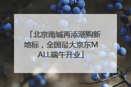 北京南城再添潮购新地标，全国最大京东MALL端午开业