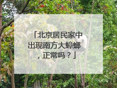 北京居民家中出现南方大蟑螂，正常吗？