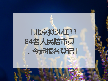 北京拟选任3384名人民陪审员，今起报名登记