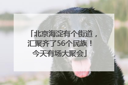 北京海淀有个街道，汇聚齐了56个民族！今天有场大聚会