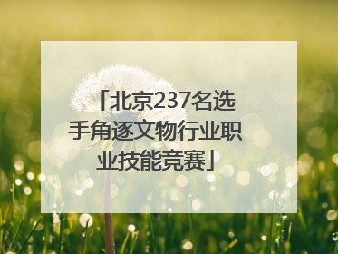 北京237名选手角逐文物行业职业技能竞赛