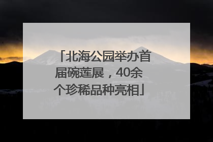 北海公园举办首届碗莲展，40余个珍稀品种亮相