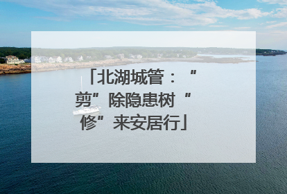 北湖城管：“剪”除隐患树“修”来安居行