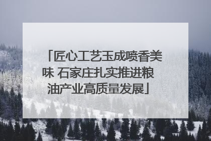 匠心工艺玉成喷香美味 石家庄扎实推进粮油产业高质量发展