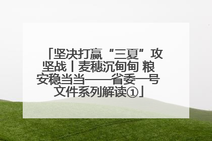 坚决打赢“三夏”攻坚战丨麦穗沉甸甸 粮安稳当当——省委一号文件系列解读①