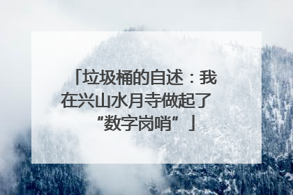 垃圾桶的自述：我在兴山水月寺做起了“数字岗哨”