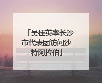 吴桂英率长沙市代表团访问沙特阿拉伯