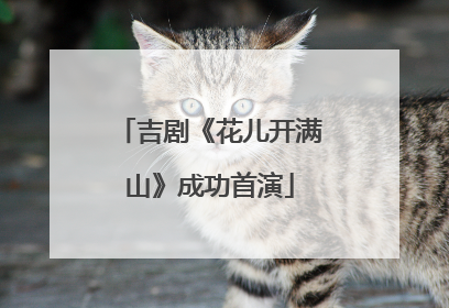吉剧《花儿开满山》成功首演
