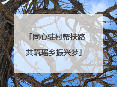 同心驻村帮扶路 共筑瑶乡振兴梦