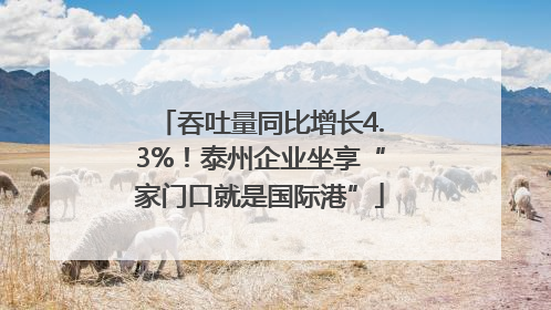 吞吐量同比增长4.3%！泰州企业坐享“家门口就是国际港”