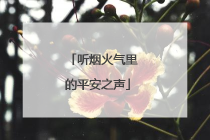 听烟火气里的平安之声