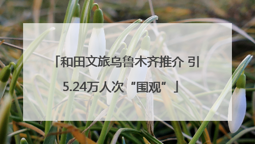 和田文旅乌鲁木齐推介 引5.24万人次“围观”