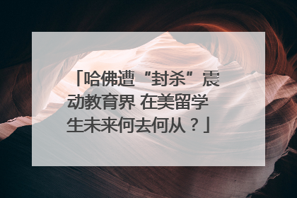 哈佛遭“封杀”震动教育界 在美留学生未来何去何从？