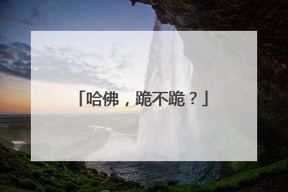 哈佛，跪不跪？