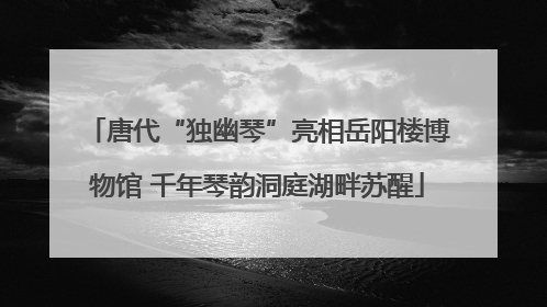 唐代“独幽琴”亮相岳阳楼博物馆 千年琴韵洞庭湖畔苏醒