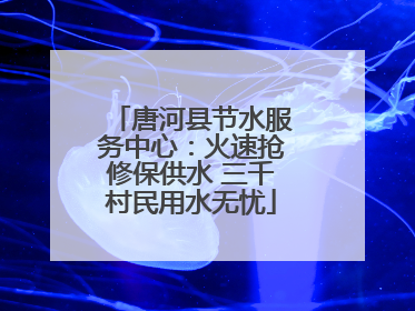 唐河县节水服务中心：火速抢修保供水 三千村民用水无忧