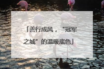 善行成风，“冠军之城”的温暖底色