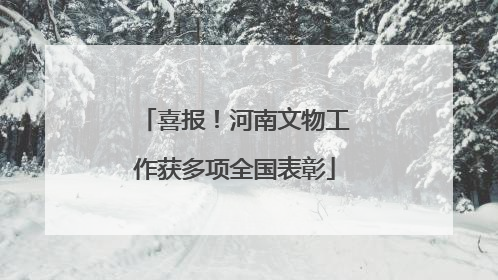 喜报！河南文物工作获多项全国表彰