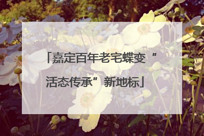 嘉定百年老宅蝶变“活态传承”新地标