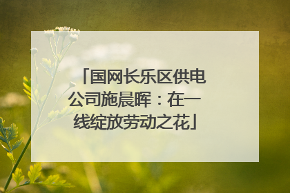 国网长乐区供电公司施晨晖：在一线绽放劳动之花