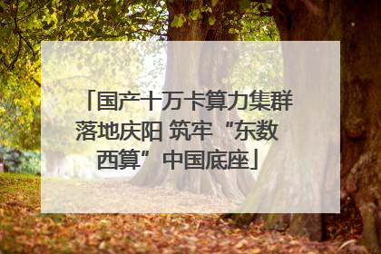 国产十万卡算力集群落地庆阳 筑牢“东数西算”中国底座
