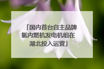 国内首台自主品牌氢内燃机发电机组在湖北投入运营