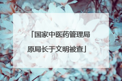 国家中医药管理局原局长于文明被查