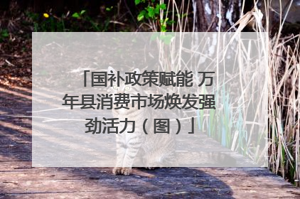 国补政策赋能 万年县消费市场焕发强劲活力（图）