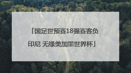 国足世预赛18强赛客负印尼 无缘美加墨世界杯