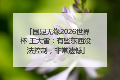 国足无缘2026世界杯 王大雷：有些东西没法控制，非常遗憾
