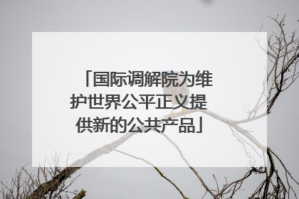 国际调解院为维护世界公平正义提供新的公共产品