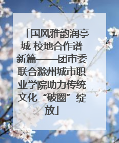 国风雅韵润亭城 校地合作谱新篇——团市委联合滁州城市职业学院助力传统文化“破圈”绽放