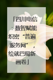 四川电信：数智赋能织密“普遍服务网”，绘就巴蜀新画卷