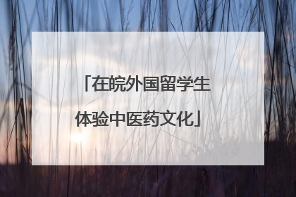 在皖外国留学生体验中医药文化