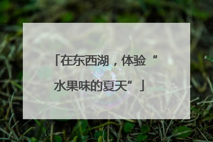 在东西湖，体验“水果味的夏天”