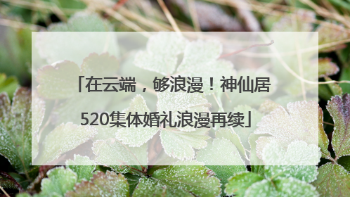 在云端，够浪漫！神仙居520集体婚礼浪漫再续