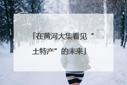 在黄河大集看见“土特产”的未来