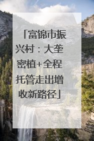 富锦市振兴村：大垄密植+全程托管走出增收新路径