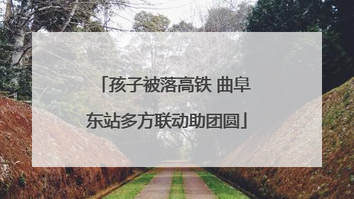 孩子被落高铁 曲阜东站多方联动助团圆