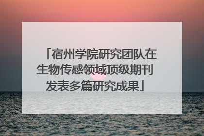 宿州学院研究团队在生物传感领域顶级期刊发表多篇研究成果