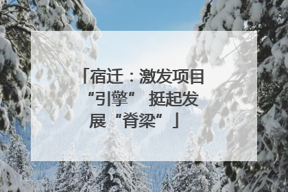 宿迁：激发项目“引擎” 挺起发展“脊梁”