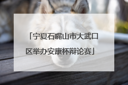 宁夏石嘴山市大武口区举办安康杯辩论赛