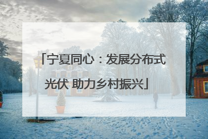 宁夏同心：发展分布式光伏 助力乡村振兴