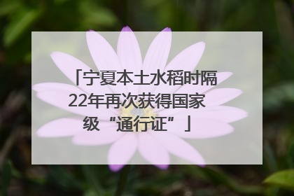 宁夏本土水稻时隔22年再次获得国家级“通行证”