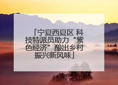 宁夏西夏区 科技特派员助力“紫色经济”酿出乡村振兴新风味
