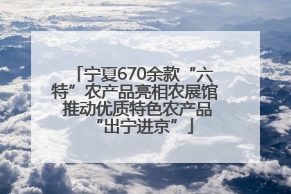 宁夏670余款“六特”农产品亮相农展馆 推动优质特色农产品“出宁进京”