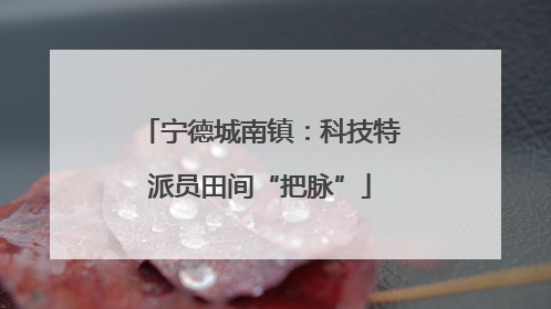 宁德城南镇：科技特派员田间“把脉”